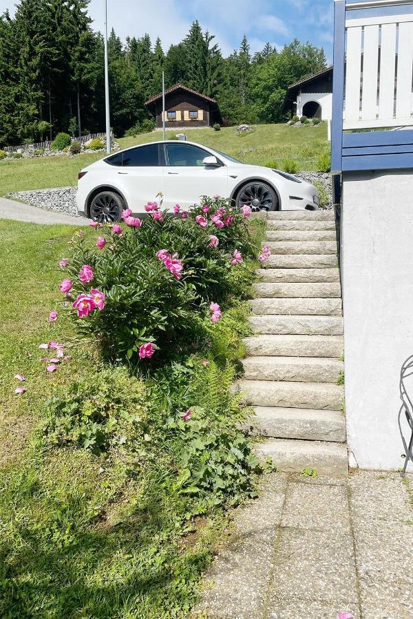 フィリップシュロイトHaus Waldblickアパートメント エクステリア 写真